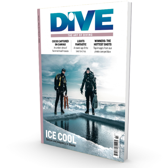 Dive, the Art of Diving