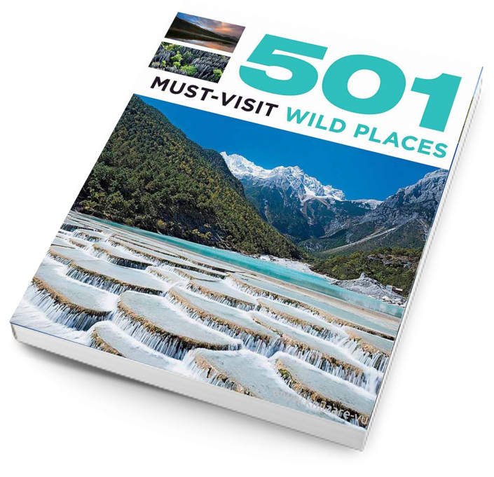 501 must visit places
