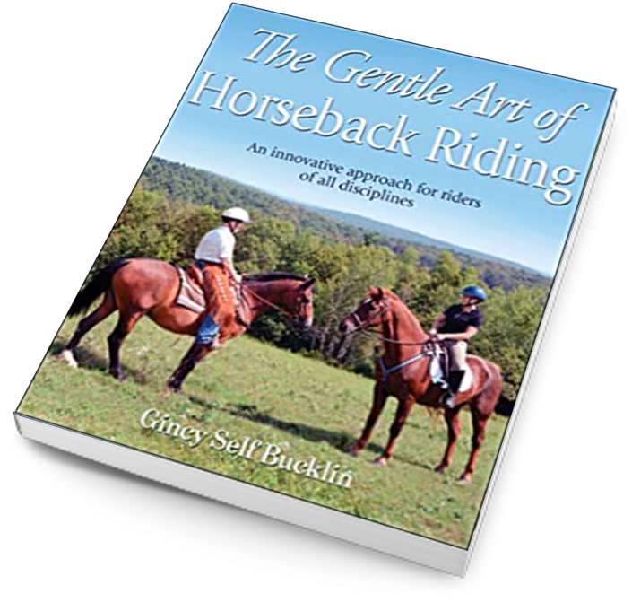 The gentle art of horseback riding